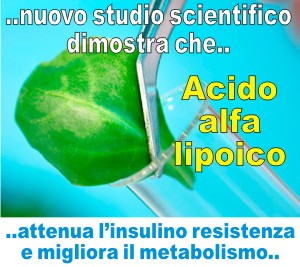 acido_alfa_lipoico_insulino_resistenza_metabolismo_glucosio_steatosi