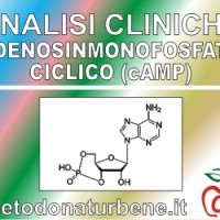 analisi_cliniche_ADENOSINMONOFOSFATO-CICLICO-(cAMP)_esame