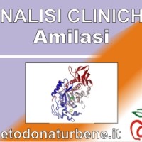 analisi_cliniche_amilasi-totale-pancreatica-amilasemia-amilasuria_esame