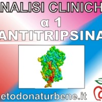 analisi_cliniche_α1_ANTITRIPSINA_esame